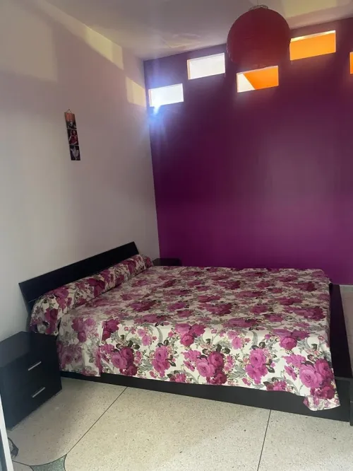 Location Appartement F2 Alger Cheraga