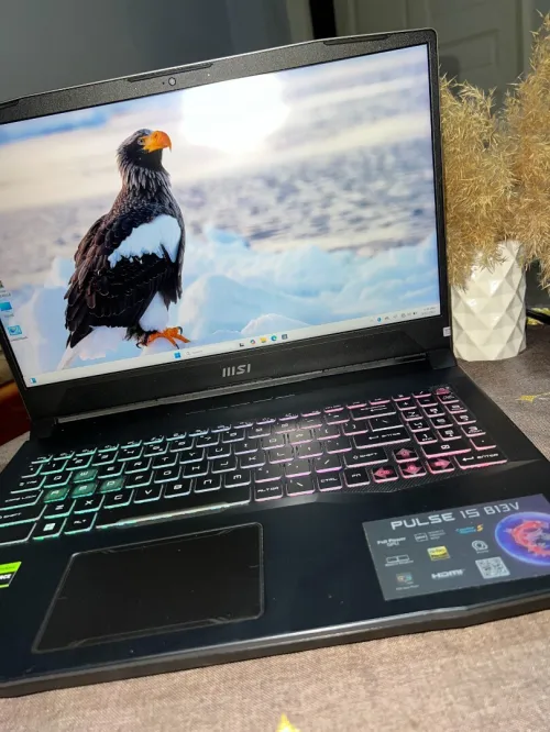 Msi pulse 15 b13V