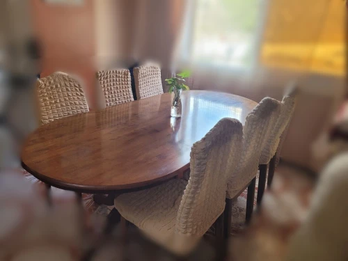Grande Table en Bois Massif + Chaises (6)