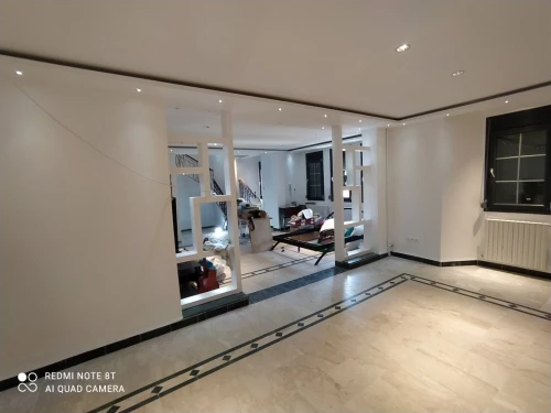peintre professionnel