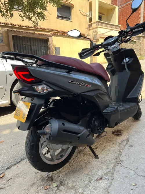 Sym Crox rx 2024
