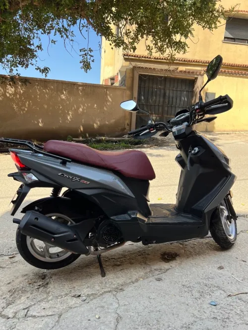 Sym Crox rx 2024