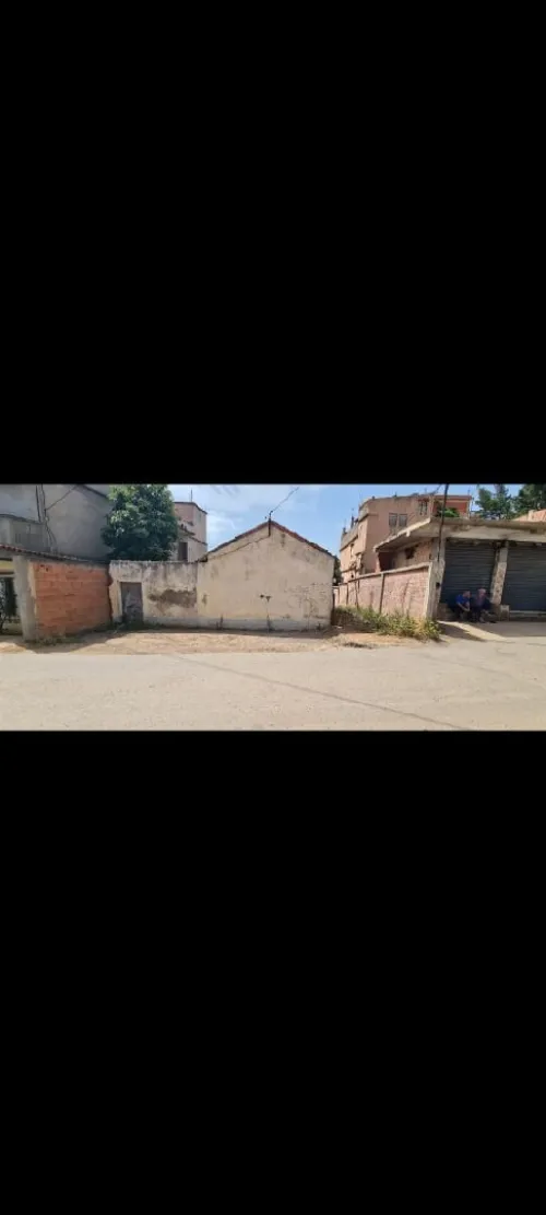 Vente Terrain Alger Saoula