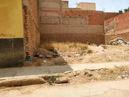 Vente Terrain Relizane El matmar
