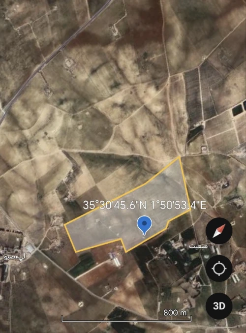 Vente Terrain Agricole Tiaret Hamadia