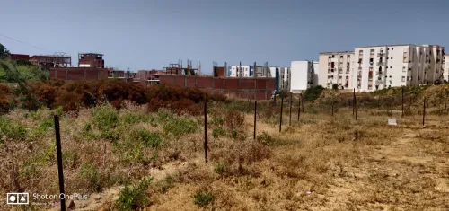 Vente Terrain Jijel El aouana
