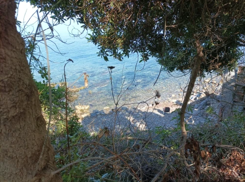 Vente Villa Bejaia Bejaia