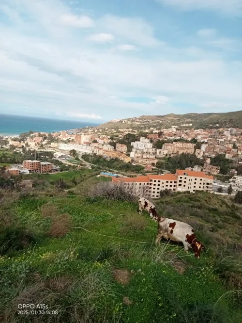 Vente Immeuble Tizi Ouzou Azeffoun