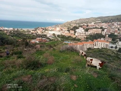 Vente Immeuble Tizi Ouzou Azeffoun