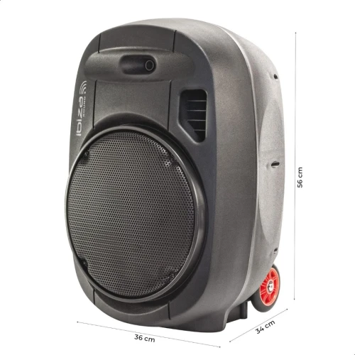 Enceinte Portable avec 2 micros IBIZA