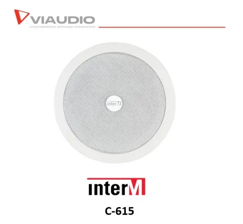 Haut-parleur plafond Inter M 