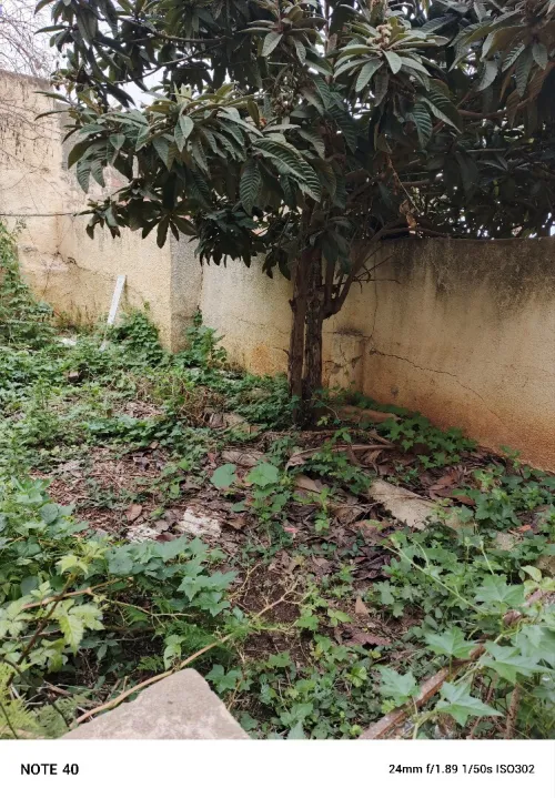 Vente Villa Alger Belouizdad