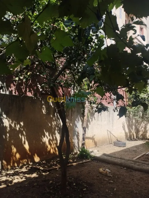 Location vacances Villa Jijel Jijel
