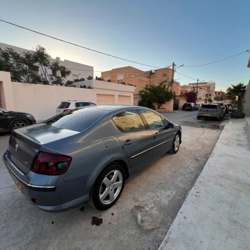 Peugeot 407 2006 Toute option