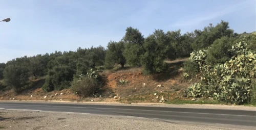 Vente Terrain Béjaïa Ouzellaguen