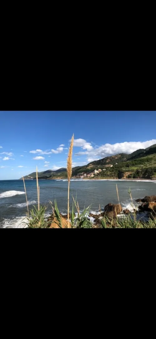 Vente Terrain Tipaza Larhat