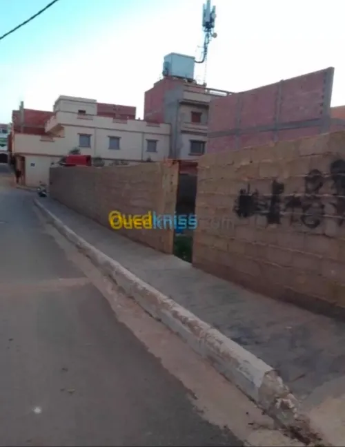 Vente Terrain Mostaganem Mostaganem