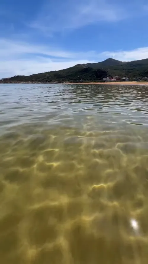 Vente Terrain Jijel Jijel