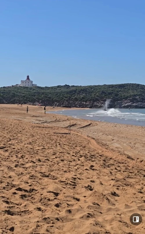Vente Terrain Jijel Jijel