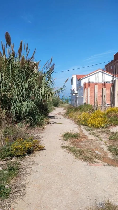 Vente Terrain Jijel Jijel 5