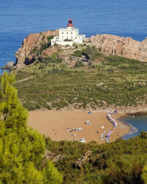 Vente Terrain Jijel Jijel