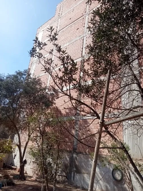 Vente Villa Oran Oran