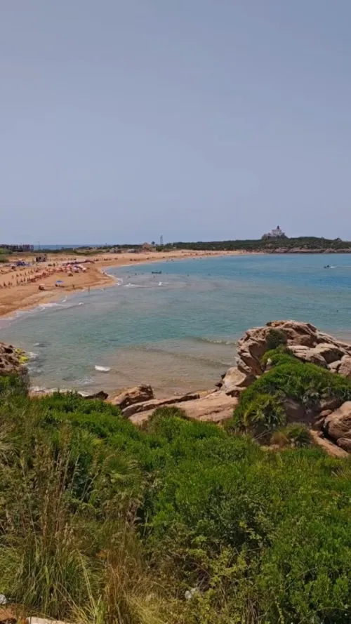 Vente Terrain Jijel Jijel