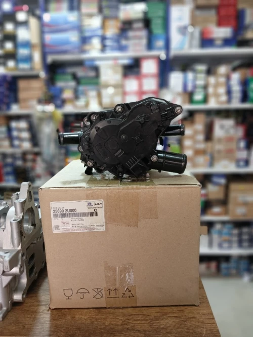 Pipe thermo Sportage Nv c'était Nv org