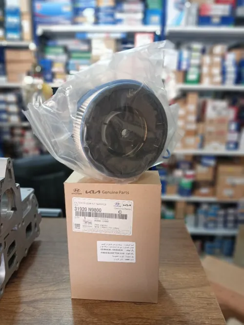 Filtre gasoil santafe Tuc 2022