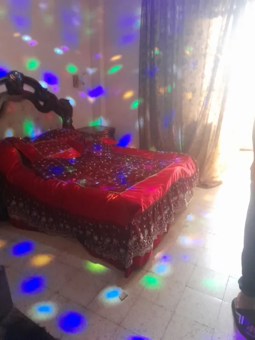 Location Appartement Studio Alger Ouled fayet