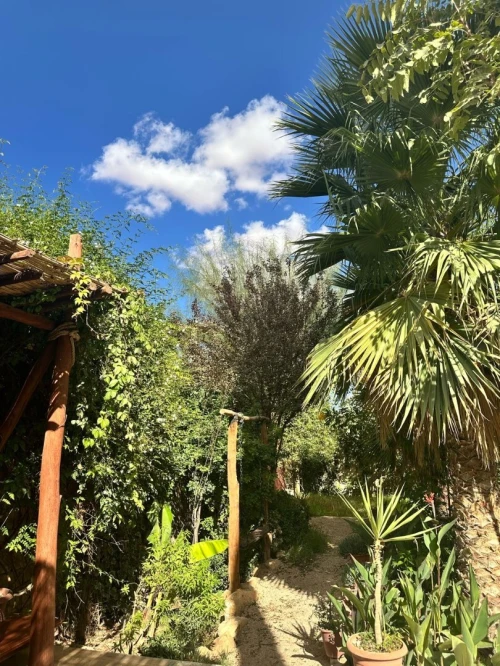 Location vacances Bungalow F1 Laghouat Laghouat