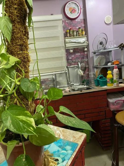 Location vacances Bungalow F1 Laghouat Laghouat