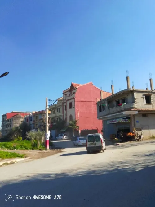 Vente Terrain Blida Blida