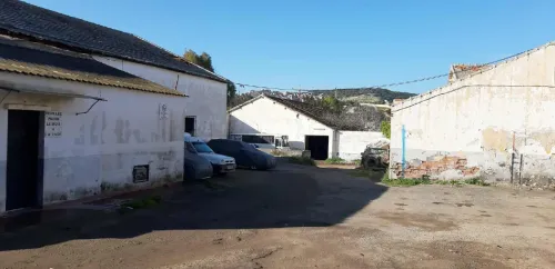 Vente Terrain Oran Oran