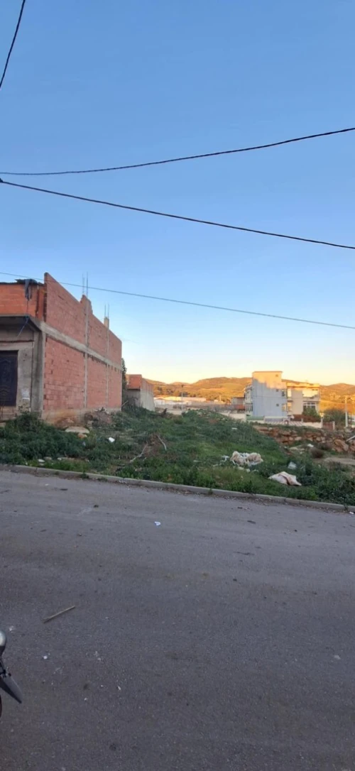 Vente Terrain Guelma Guellat bou dbaa