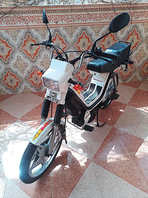SAFARI moto mobilette Safari moto mobilette 2010