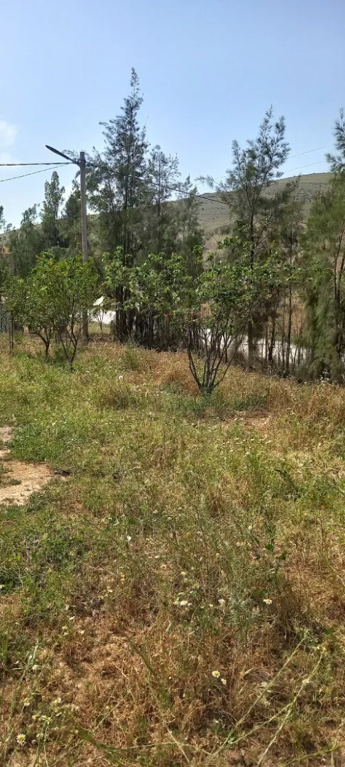 Vente Appartement Aïn Defla Bordj emir khaled chikh