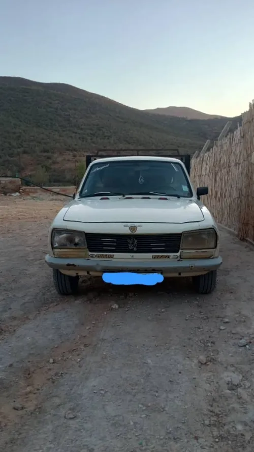 Peugeot 504 1983 504