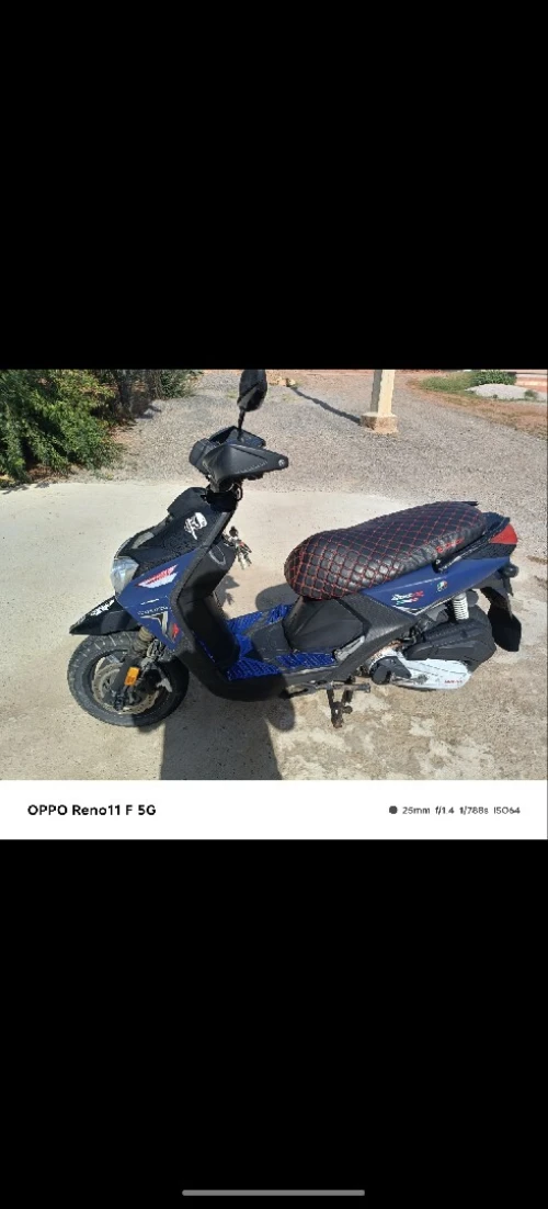 Luojia Scooter 2019