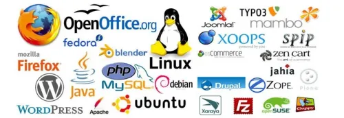 Développement Logiciel Sur Mesure (Web/App/Desktop)