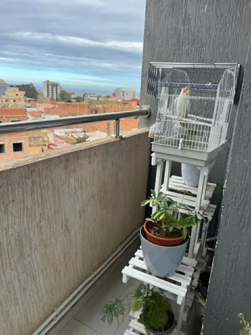 Vente Appartement F3 Oran Ain el turck