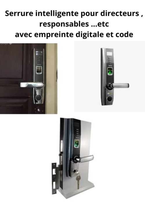PROMO 2025 , Serrure intelligente Hotel avec commutateur économie d'Energie et logiciel ( blida )