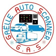 Scanner auto et réparation Activation des options cachés à domicile