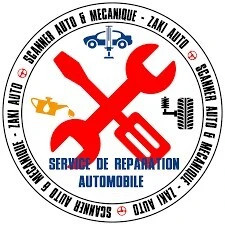 Scanner auto et réparation Activation des options cachés à domicile