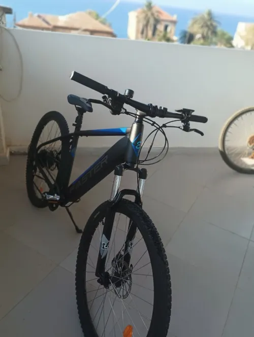 Velo electrique Faster