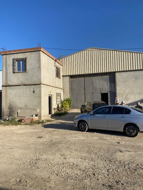 Location Hangar Blida Boufarik