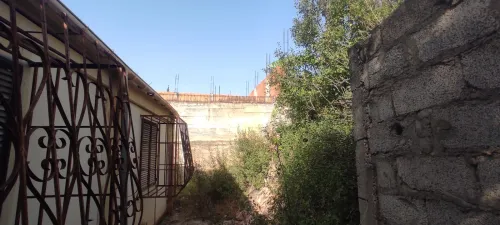 Vente Terrain El Tarf Drean