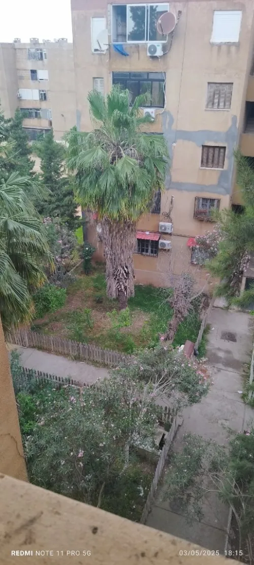 Vente Appartement F3 Alger Reghaia