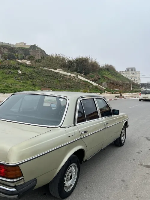 Mercedes W123 1980 300d