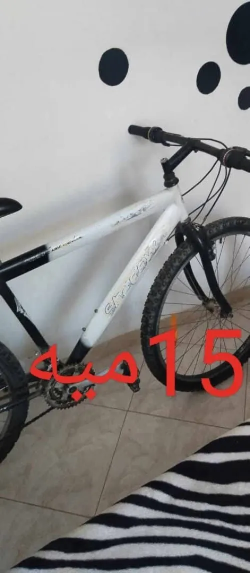 Vélo blanche 